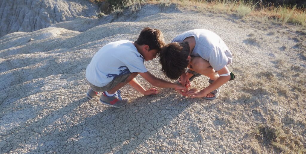 Val d'Orcia, Riserva-Lucciola Bella. Piccoli paleontologi a lavoro.