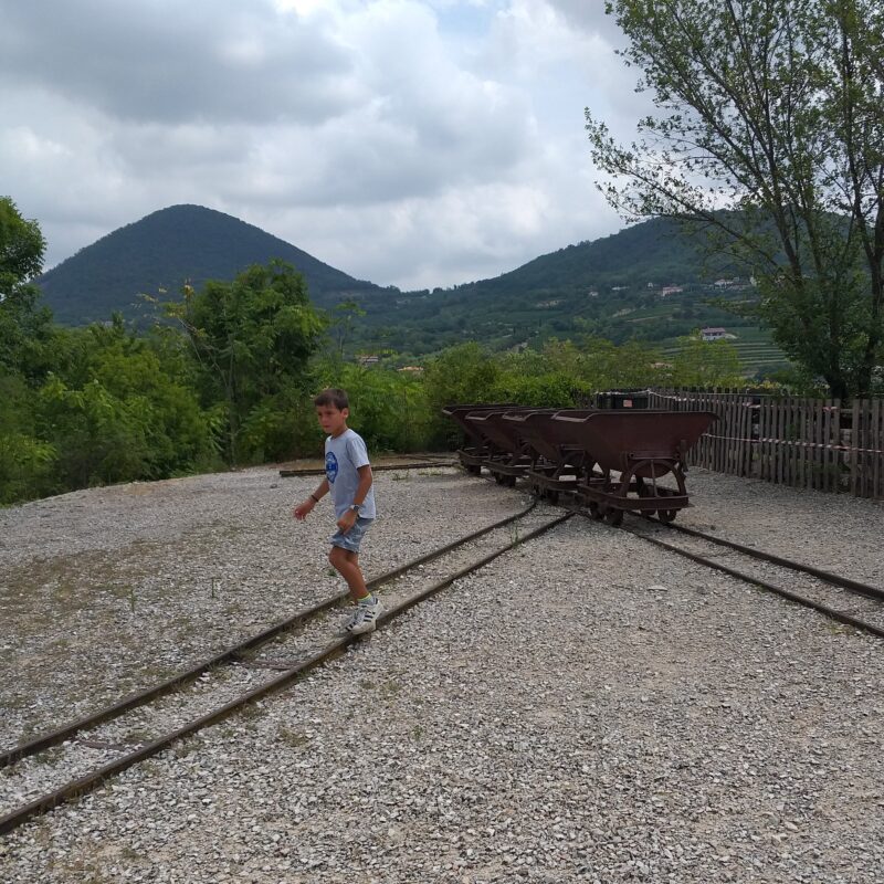 Passeggiate con bambini, Colli Euganei, Museo Geopaleontologico di Cava Bomba.