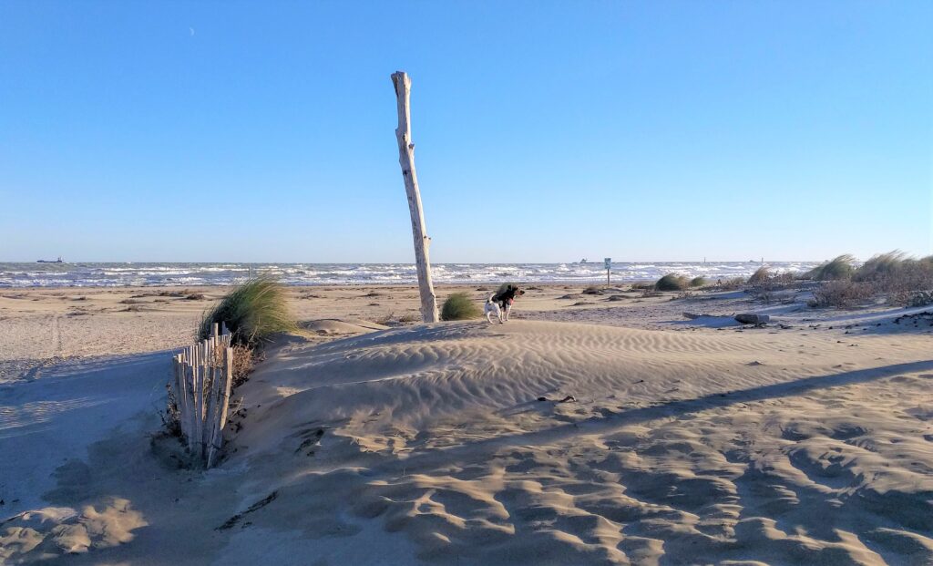 Lido di Venezia, oasi degli Alberoni.