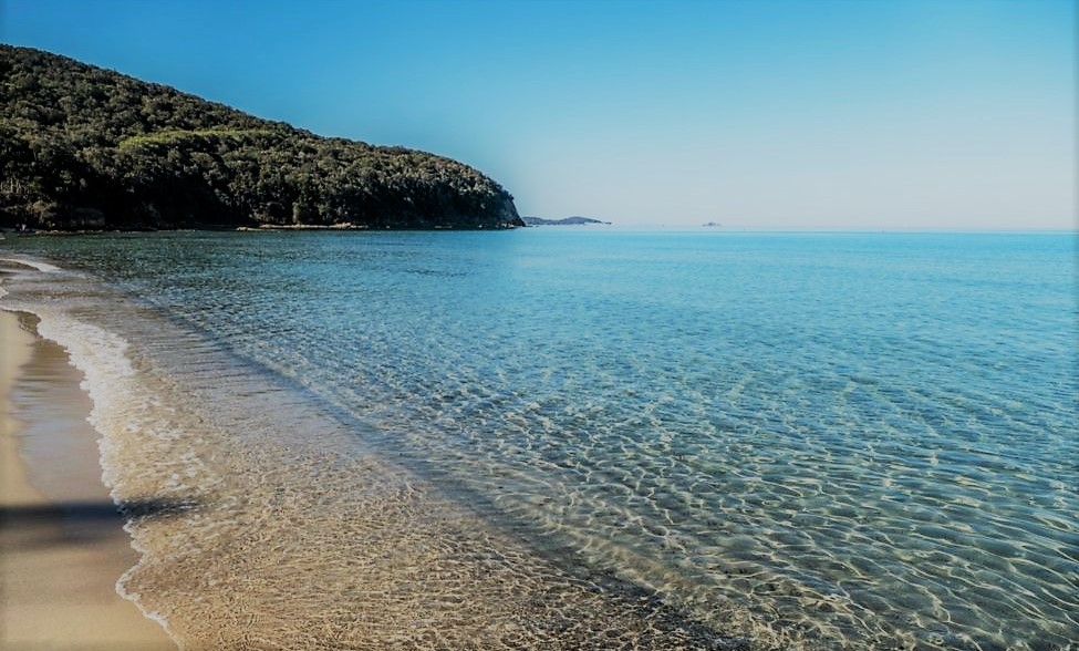 Follonica, Cala Violina 