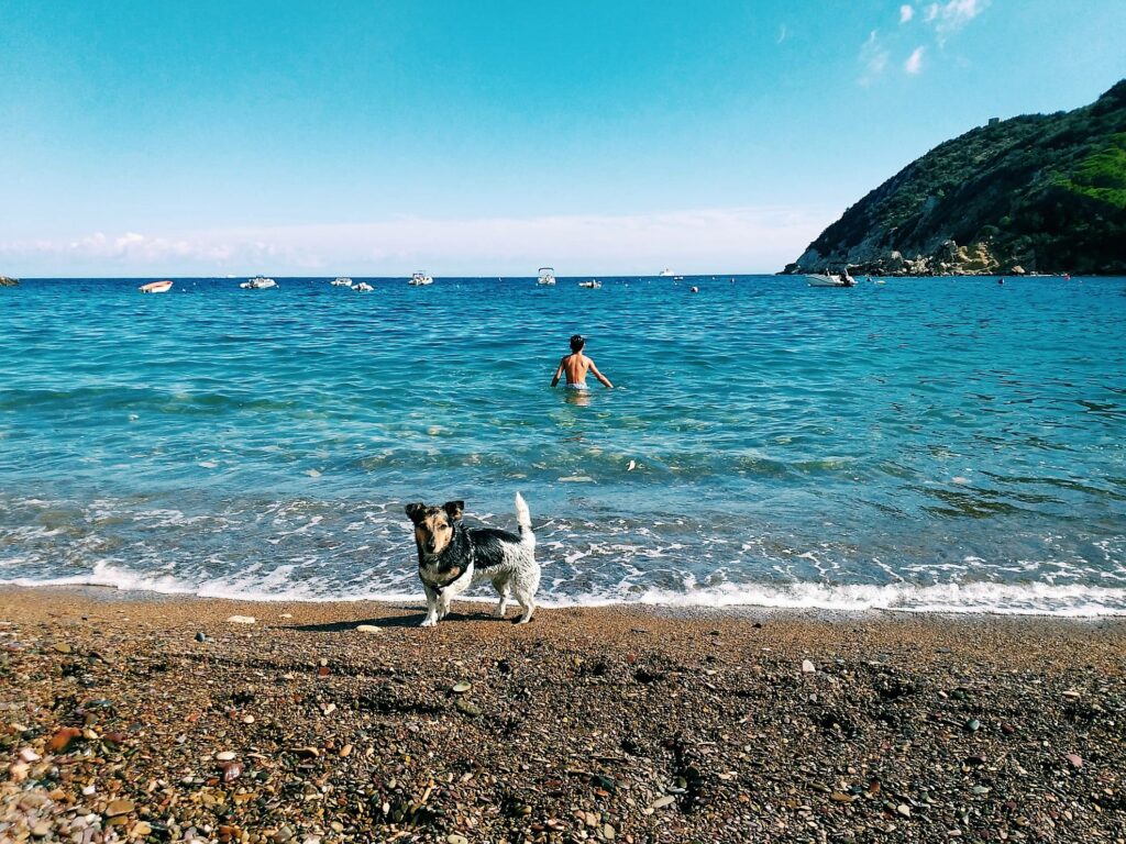 Elba, spiaggia di Nisporto