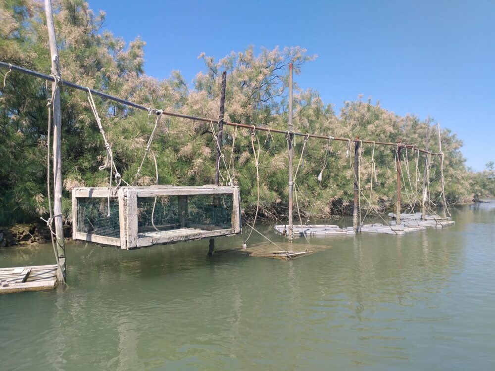 Mazzorbo-canale-pesca-tradizionale-veneta-con-vieri