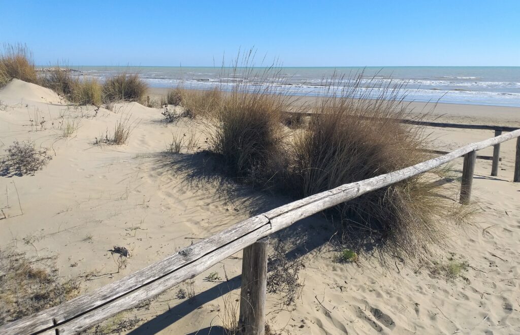 Cavallino-Treporti, spiaggia libera.