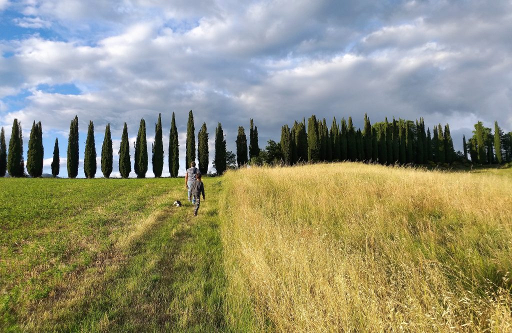 Pratovecchio, il castello di Romena.