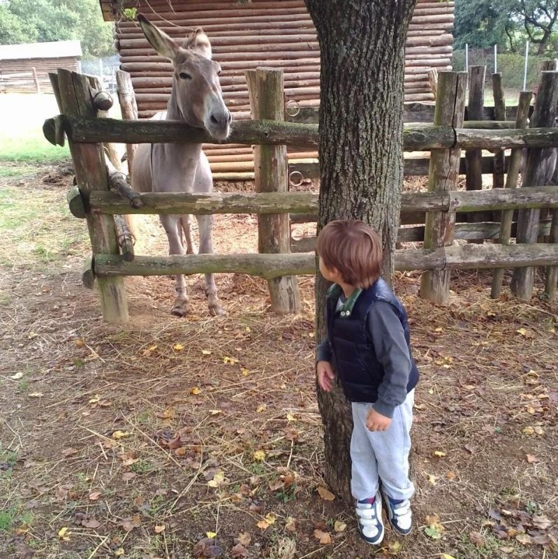 Poppi, Parco Zoo: giochiamo a nascondino?