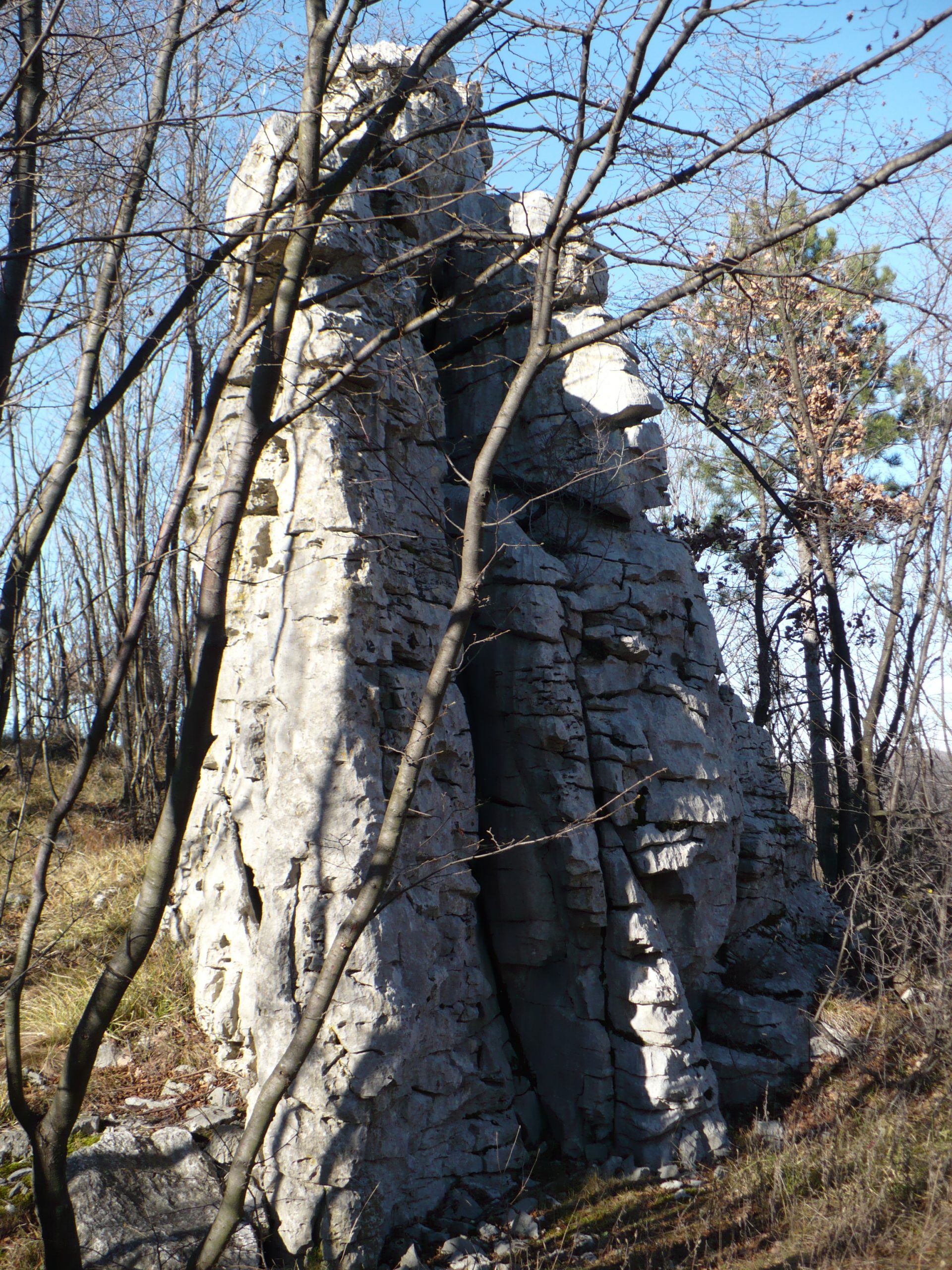 Carso Triestino, Torrioni di Monrupino.