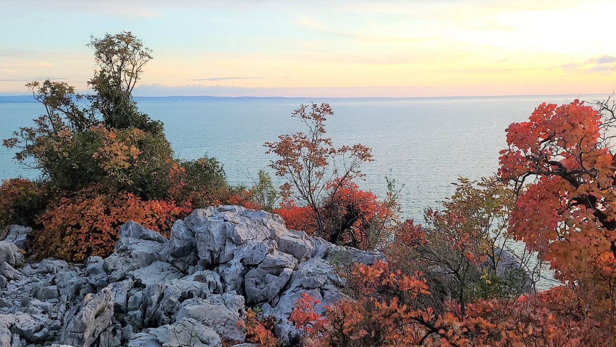 Carso Triestino, passeggiata sul Sentiero Rilke 2