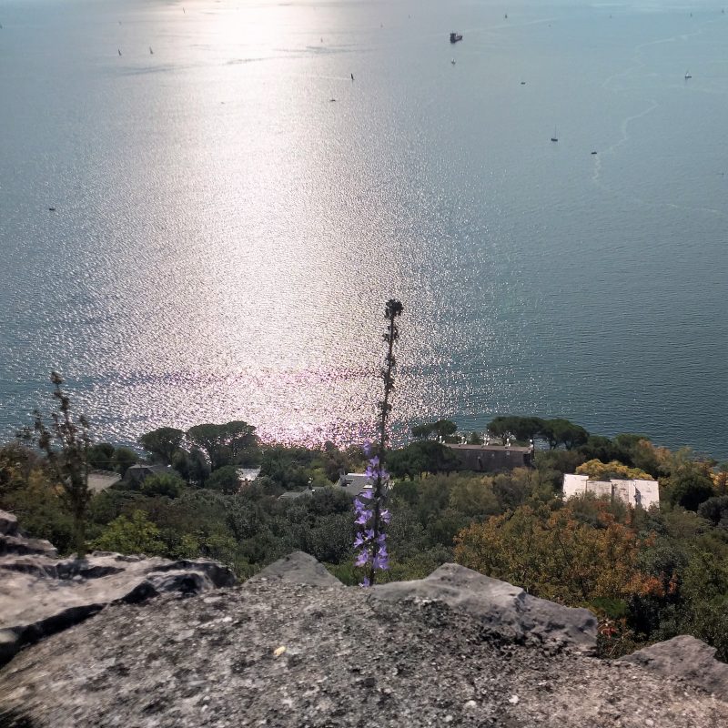 Carso Triestino, vista dalla vedetta Tiziana Weiss.