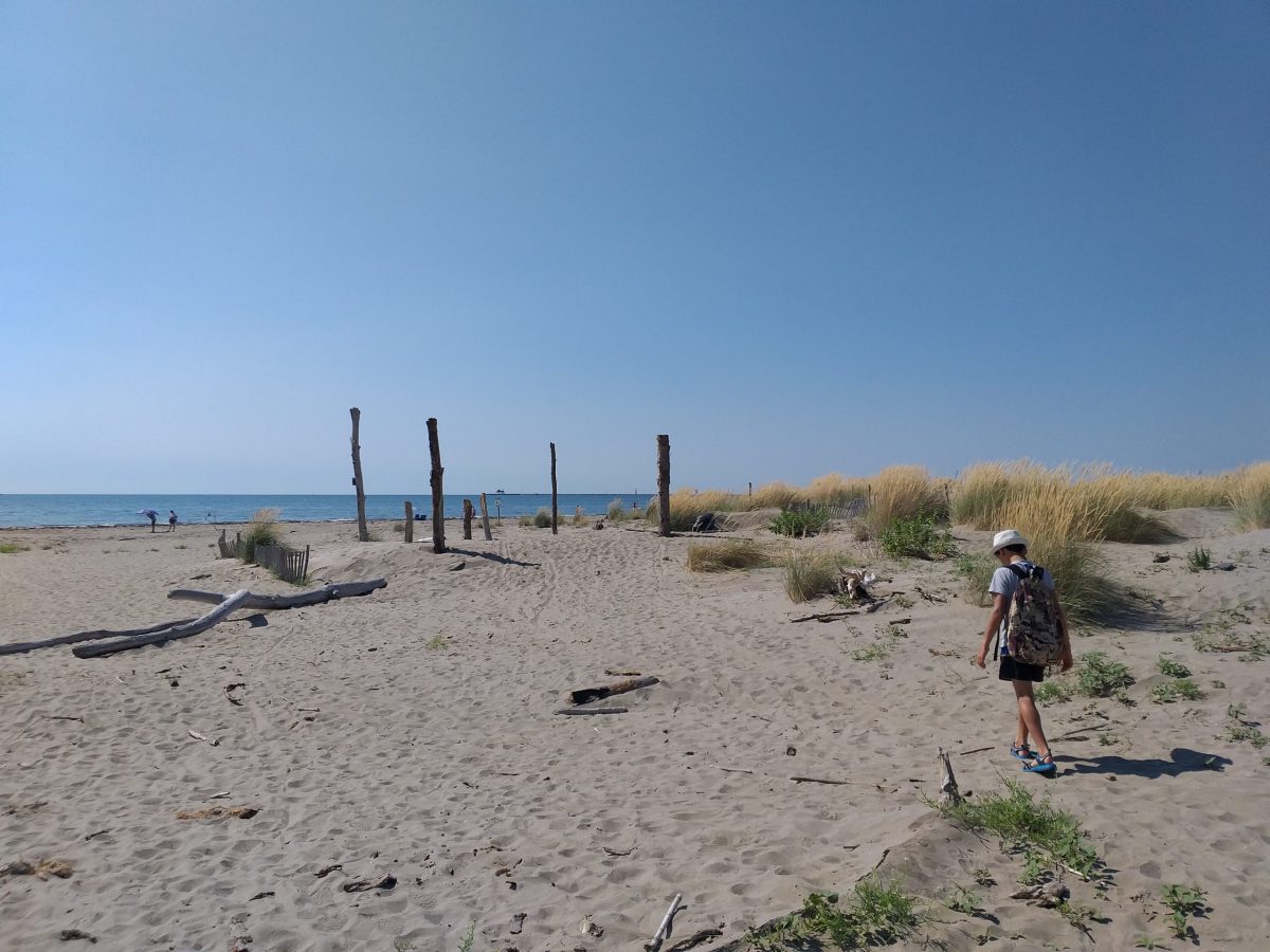 Lido di Venezia Spiaggia libera Alberoni con bambini