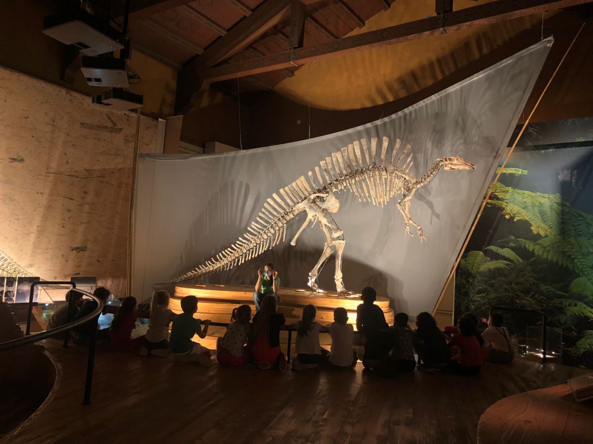 Venezia Musei bambini Museo Storia Naturale Ligabue