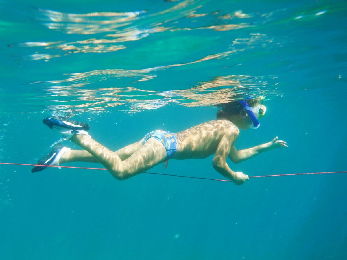 Nacionalni Park Brijuni Istria snorkeling