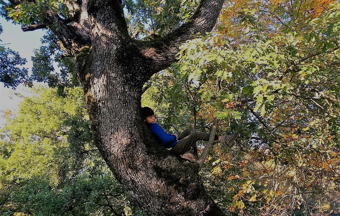 Foreste Casentinesi con bambini