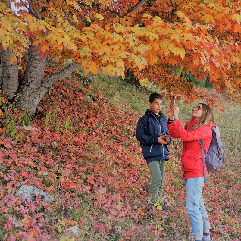 Parco Foreste Casentinesi foliage autunno b