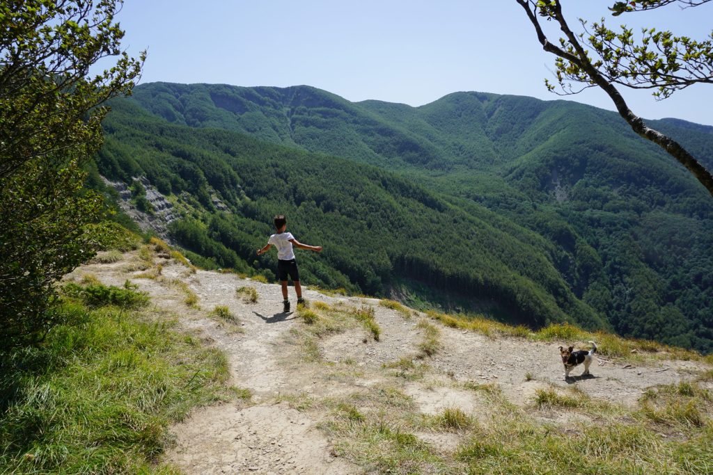 Parco Foreste Casentinesi passeggiate con bambini