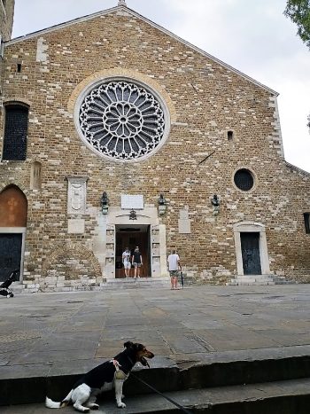 Trieste cattedrale san Giusto