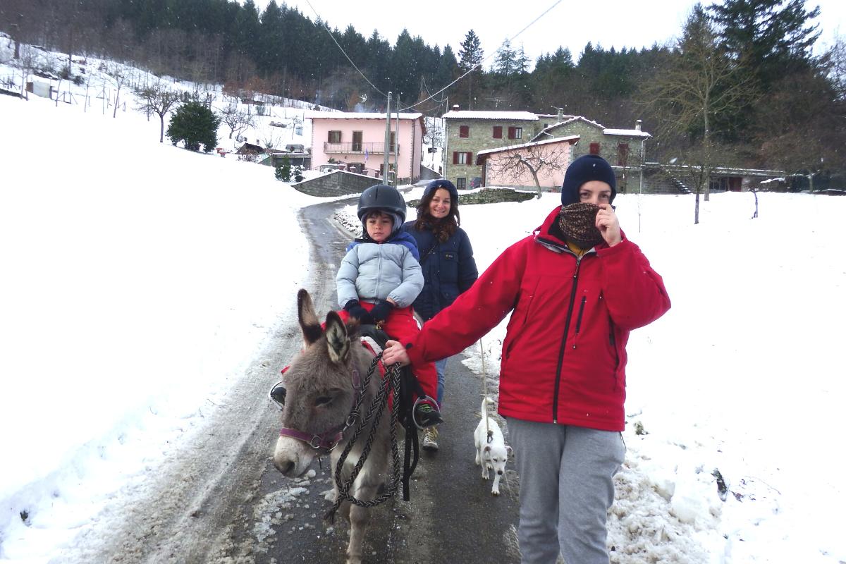 sulla neve con bambini Toscana passeggiata asino