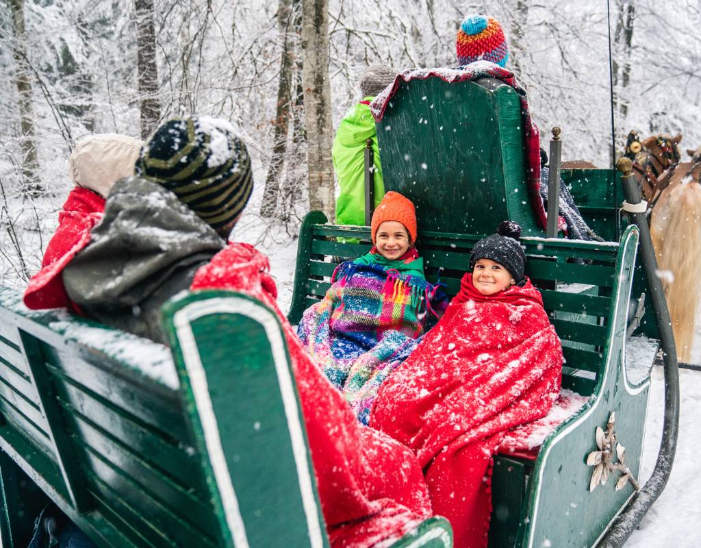 sulla neve senza sciare bambini Paganella carrozza