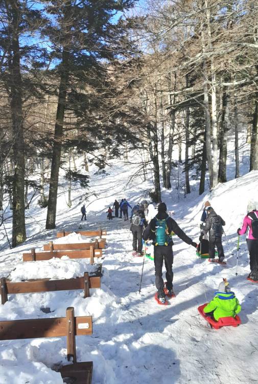 sulla neve senza sciare bambini toscana 2 alter trek