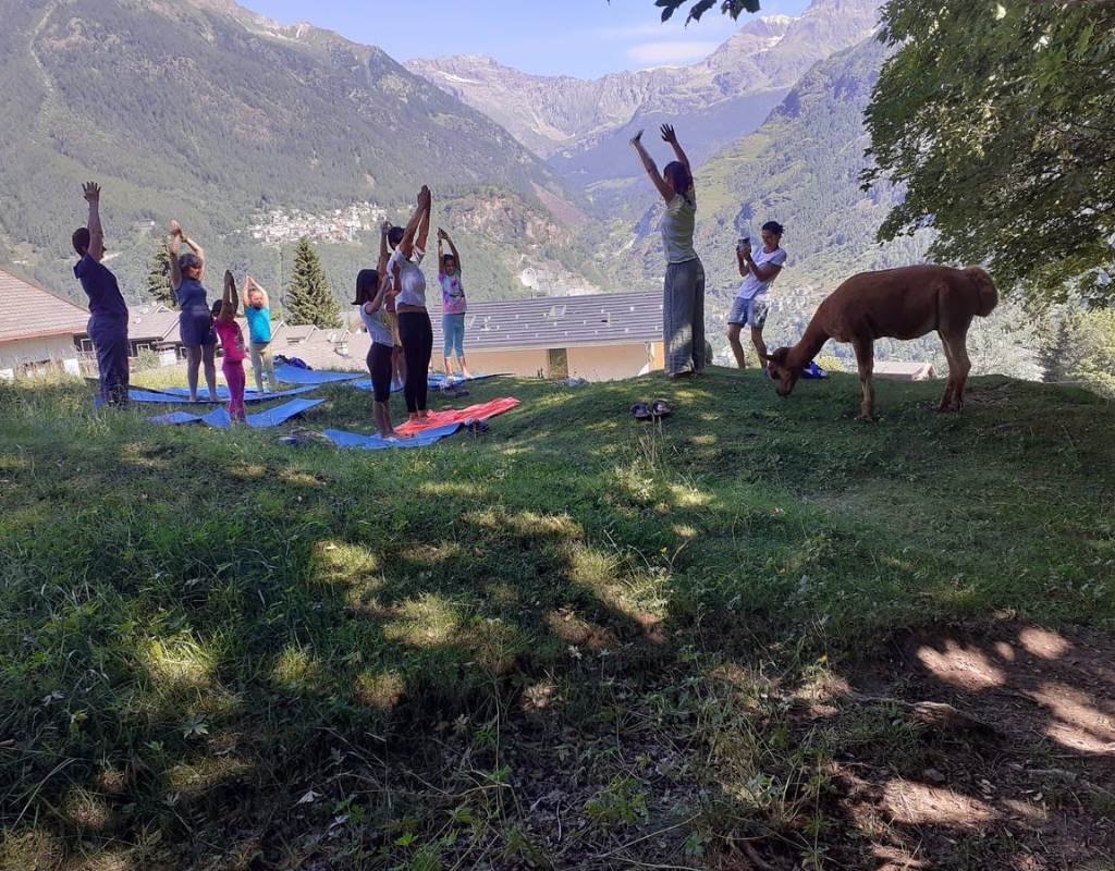 Alpaca yoga alpaca la Foppa Lombardia Sondrio