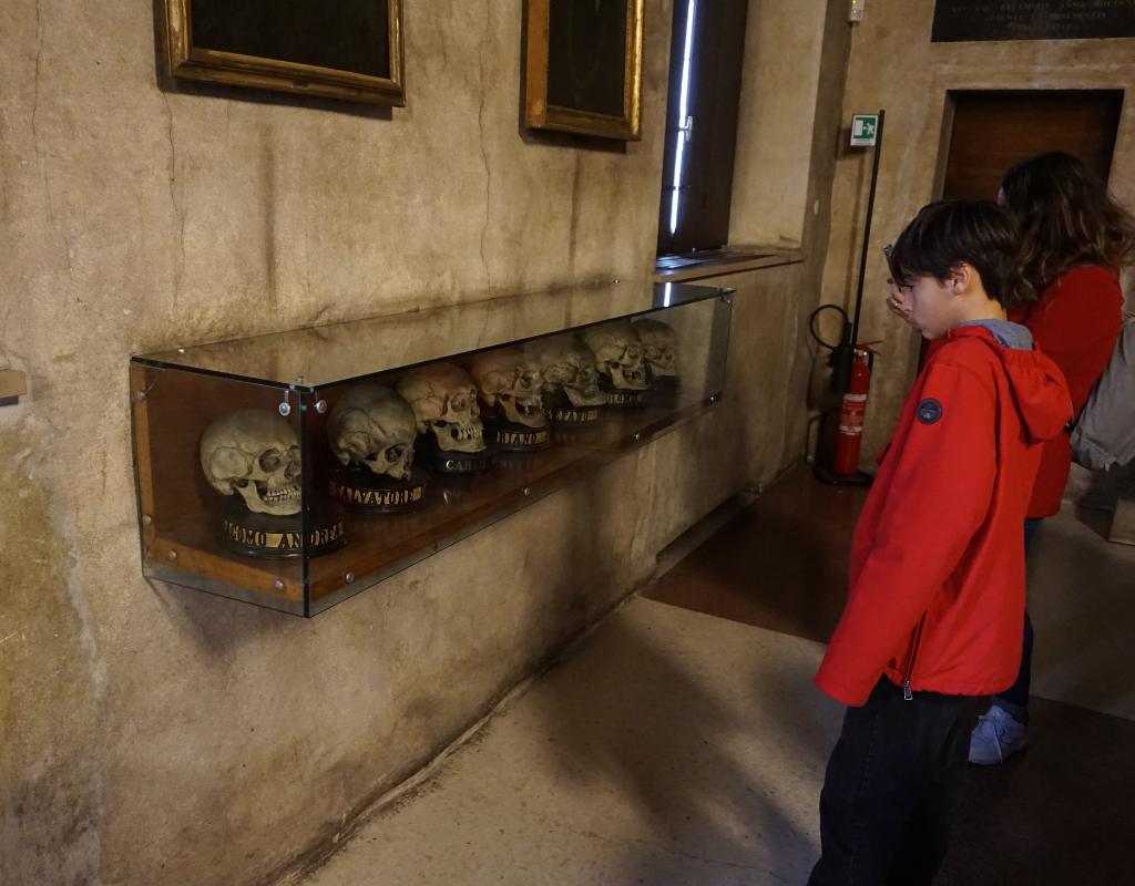 Padova Palazzo del Bo con bambini Sala Medicina teschi professori