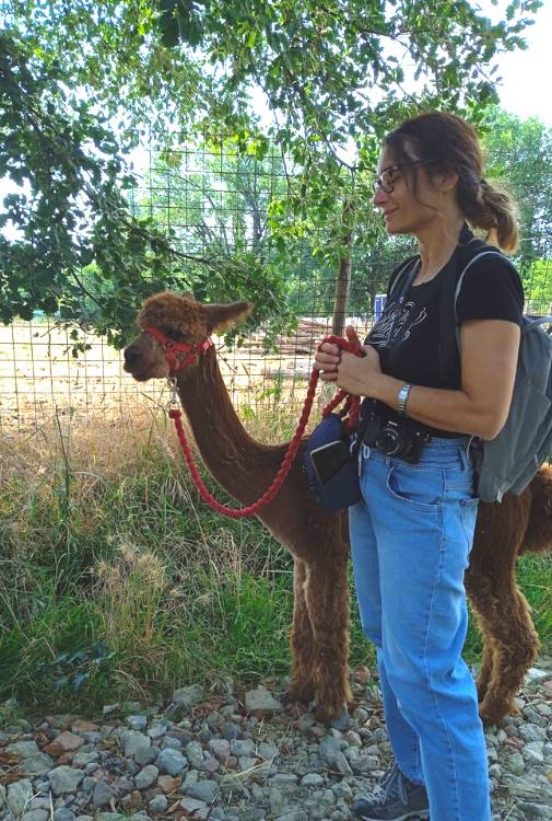 Passeggiata con alpaca arezzo Lucatello agriturismo