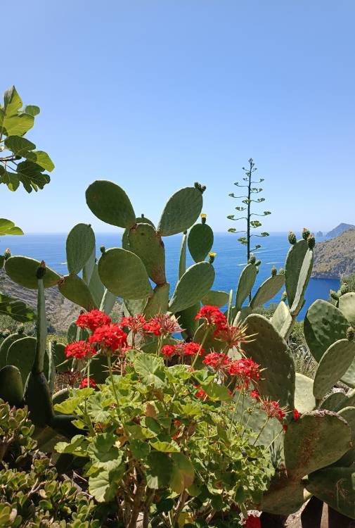 Baia Ieranto Costiera amalfitana con bambini trekking