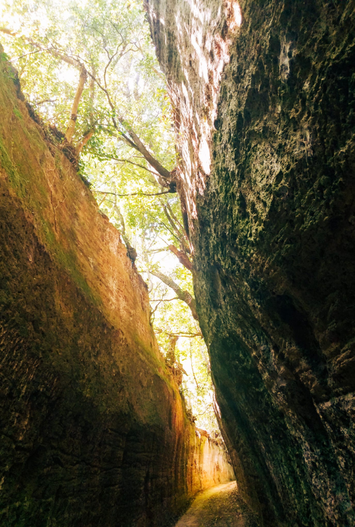 Sovana Grosseto Vie Cave (2)