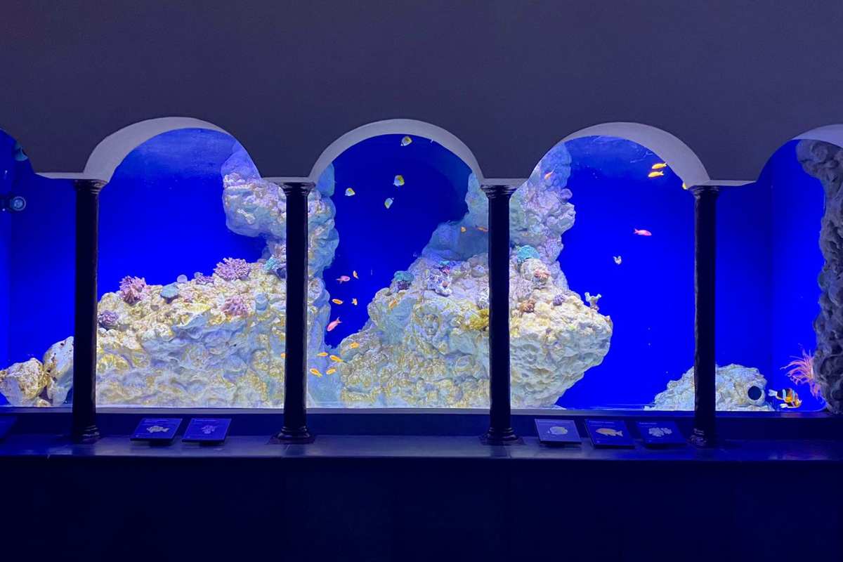 Napoli cosa fare con bambini Acquario Fondazione Dohrn