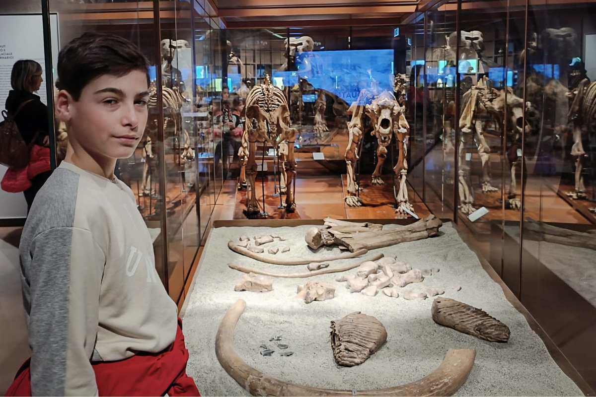 Museo della Natura e dell'Uomo MNU Padova paleontologia bambini (1)