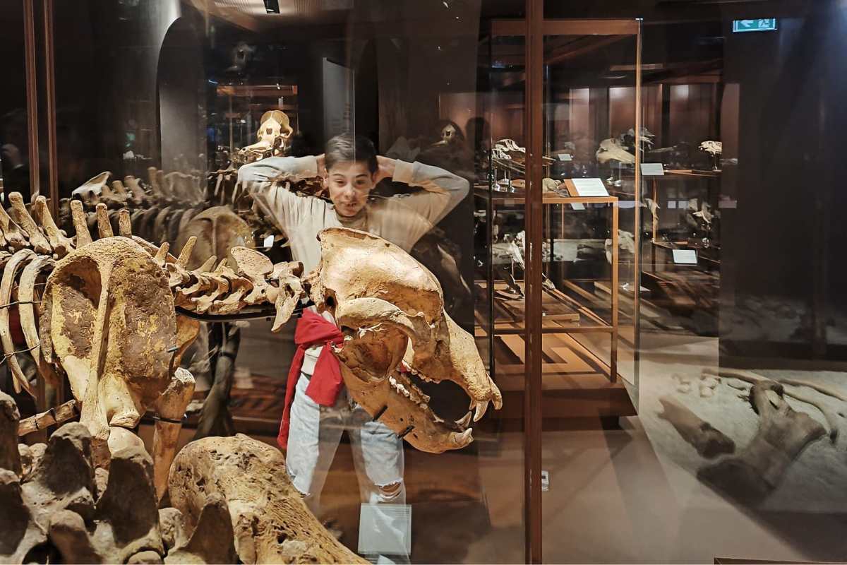 Museo della Natura e dell'Uomo MNU Padova paleontologia bambini