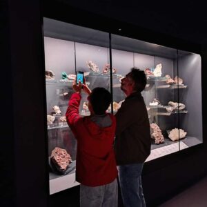 Padova Museo della Natura e dell'Uomo in famiglia minerali