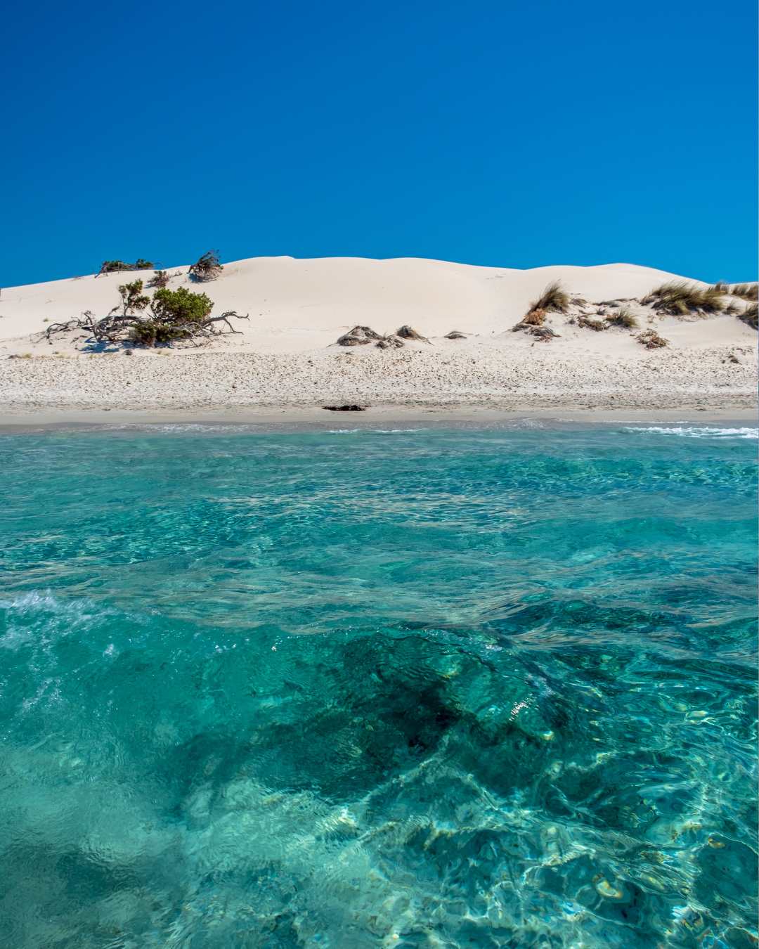 Sardegna Sud Porto Pino Spiaggia Is Arenas Bianca famiglia