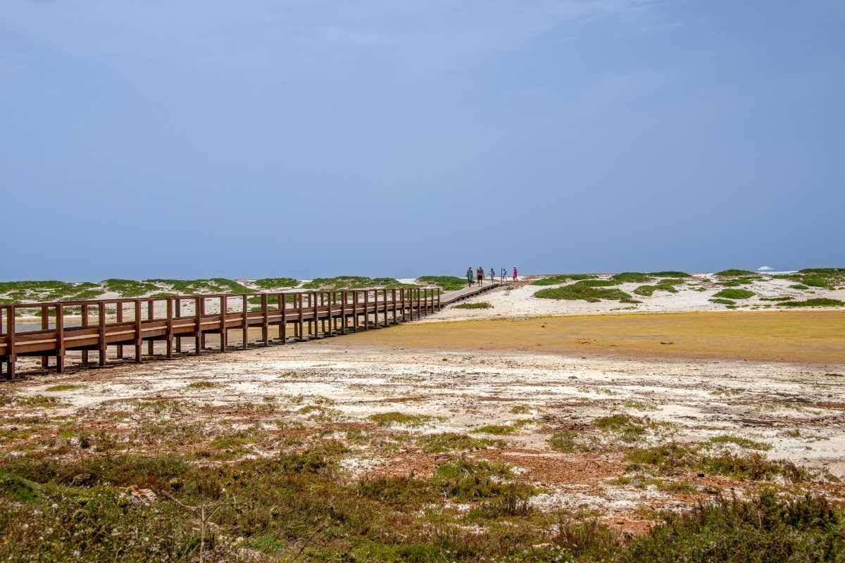 Sardegna vacanze con bambini Stagno della spiaggia di Mari Ermi Cabras Oristano