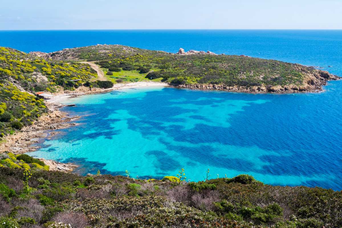 Sardegna visita con bambini Asinara