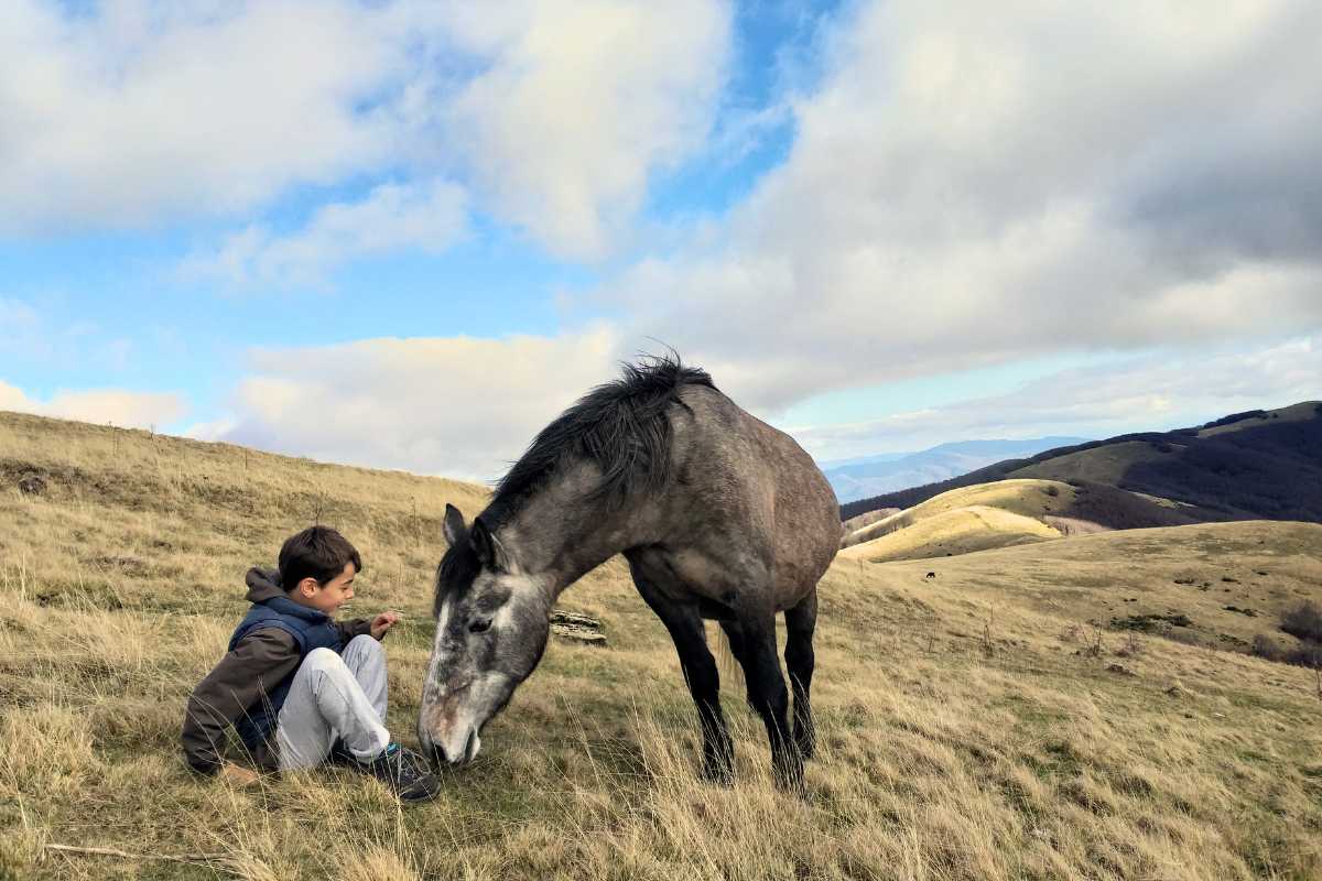 Toscana autunno pratomagno