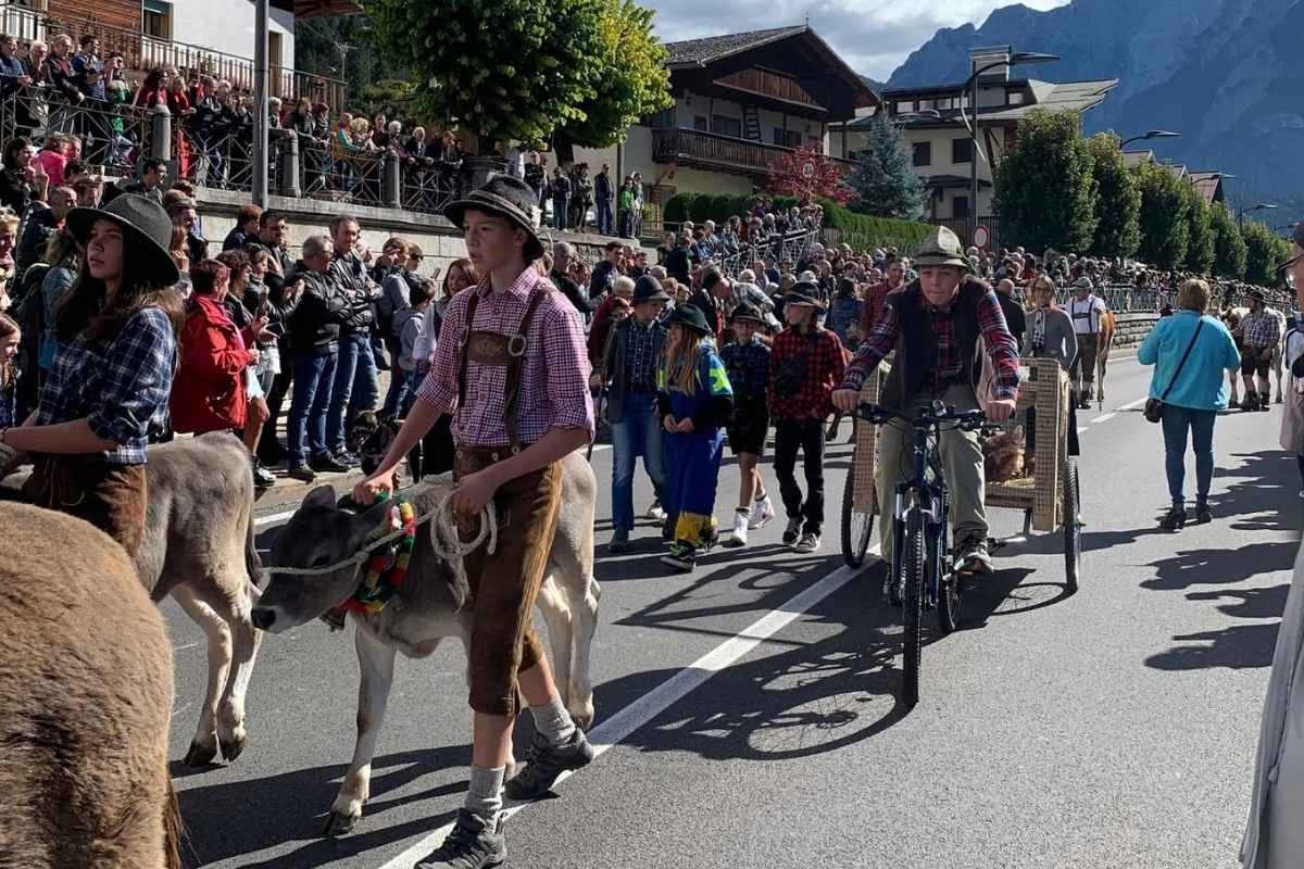 Auronzo di Cadore Desmonteada
